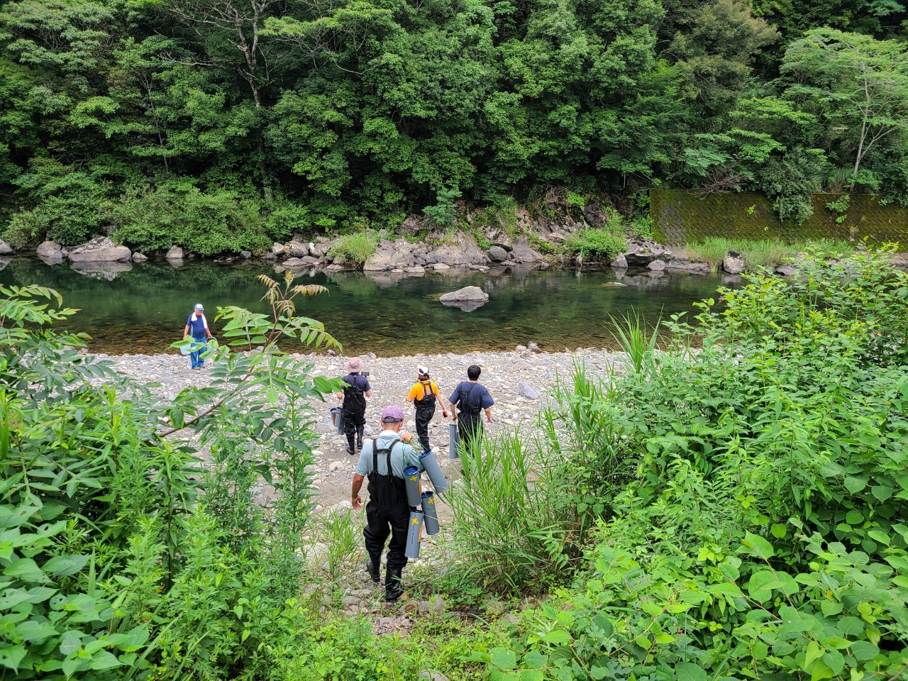 四万十川大人塾21 川漁 第2回川エビ漁 1日目 公益財団法人 四万十川財団